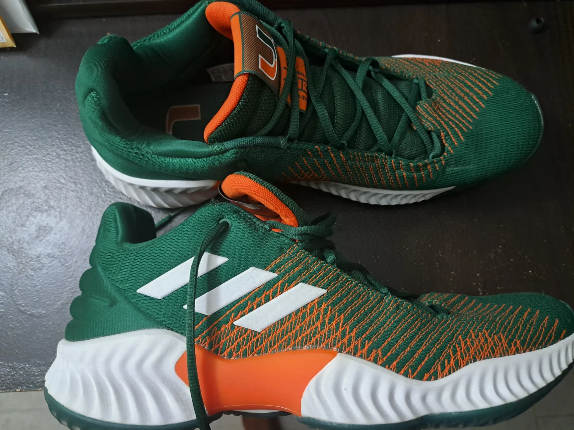 Adidas shoe