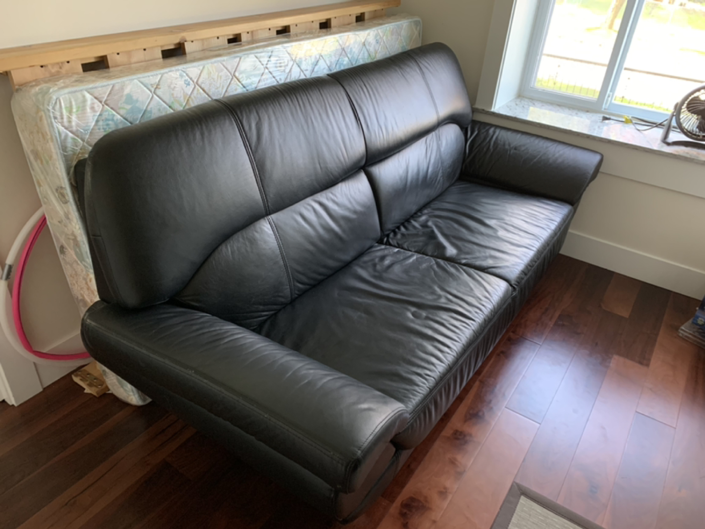 Leather Seahorse Couch