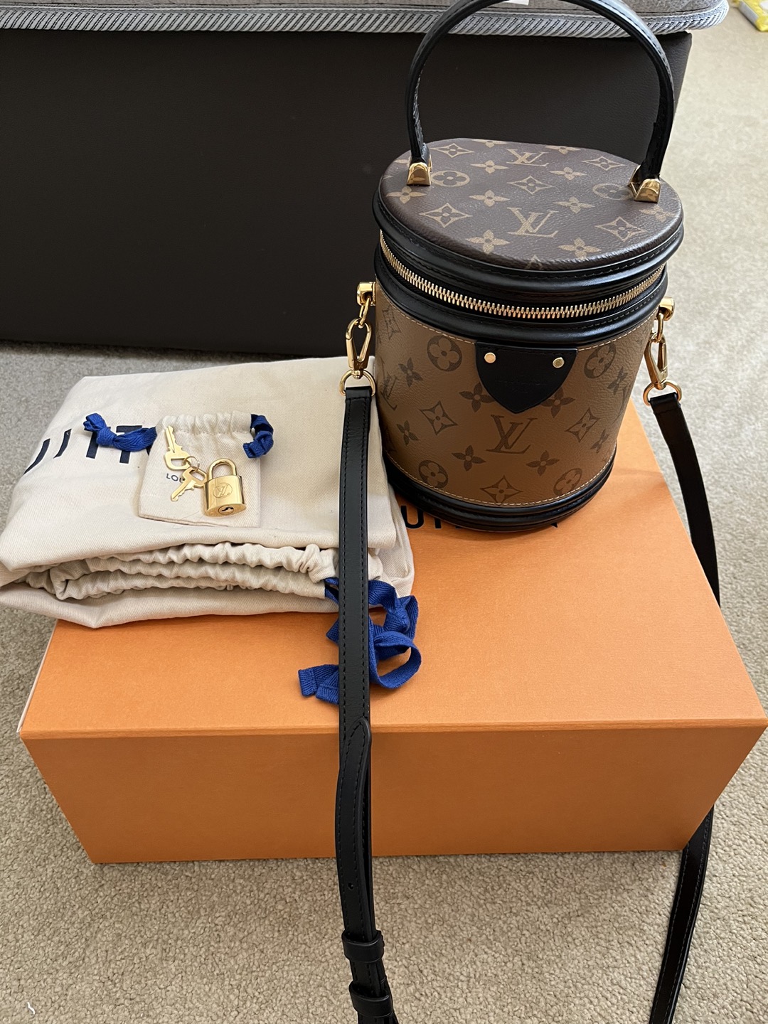 Authentic Louis Vuitton Reverse Monogram Cannes Bag