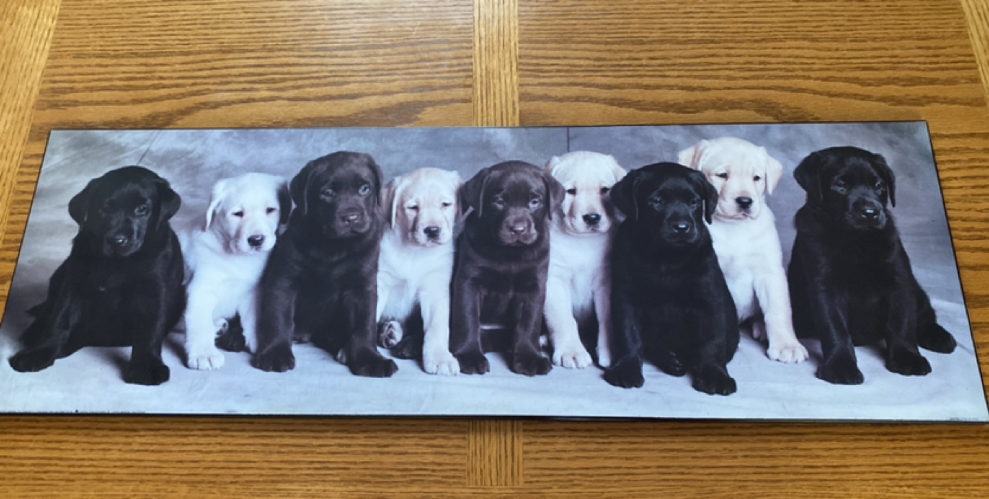 Picture wall $5