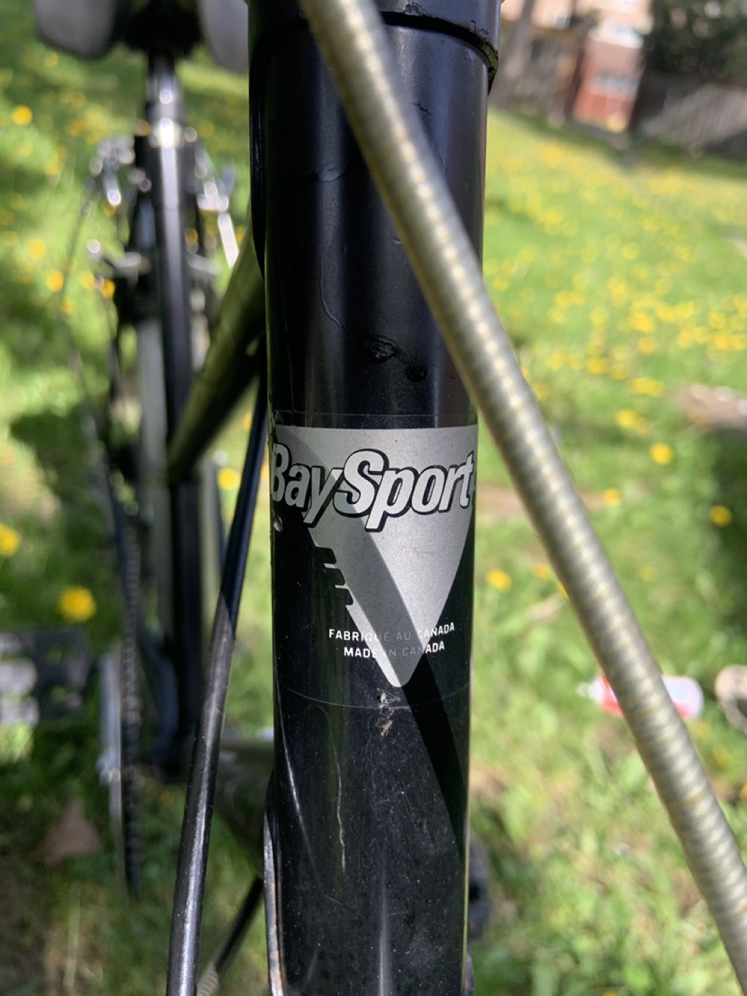 pathfinder adults ladies mountain bike 26 inches wheels image indicator(4)