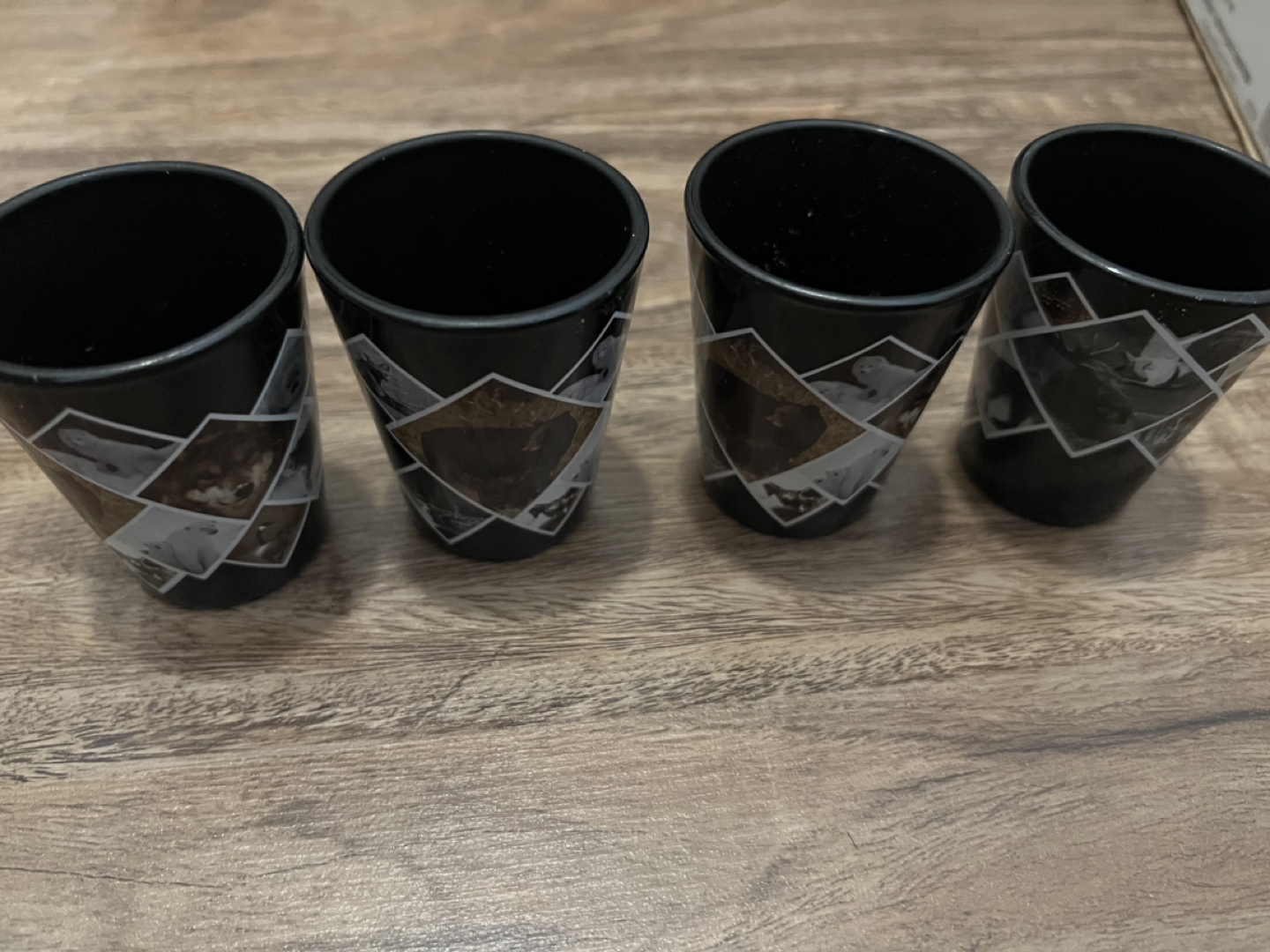 Shot glass x4 🌱 thumbnail