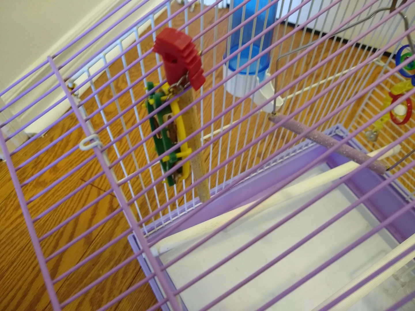 Bird Cage with Accessories image indicator(8)