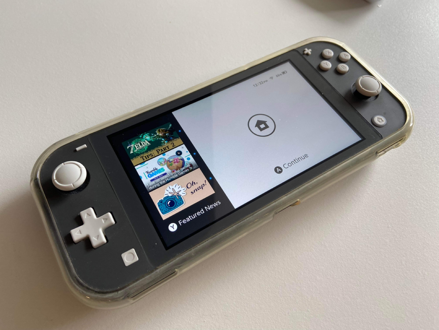 Nintendo Switch Lite image indicator(2)