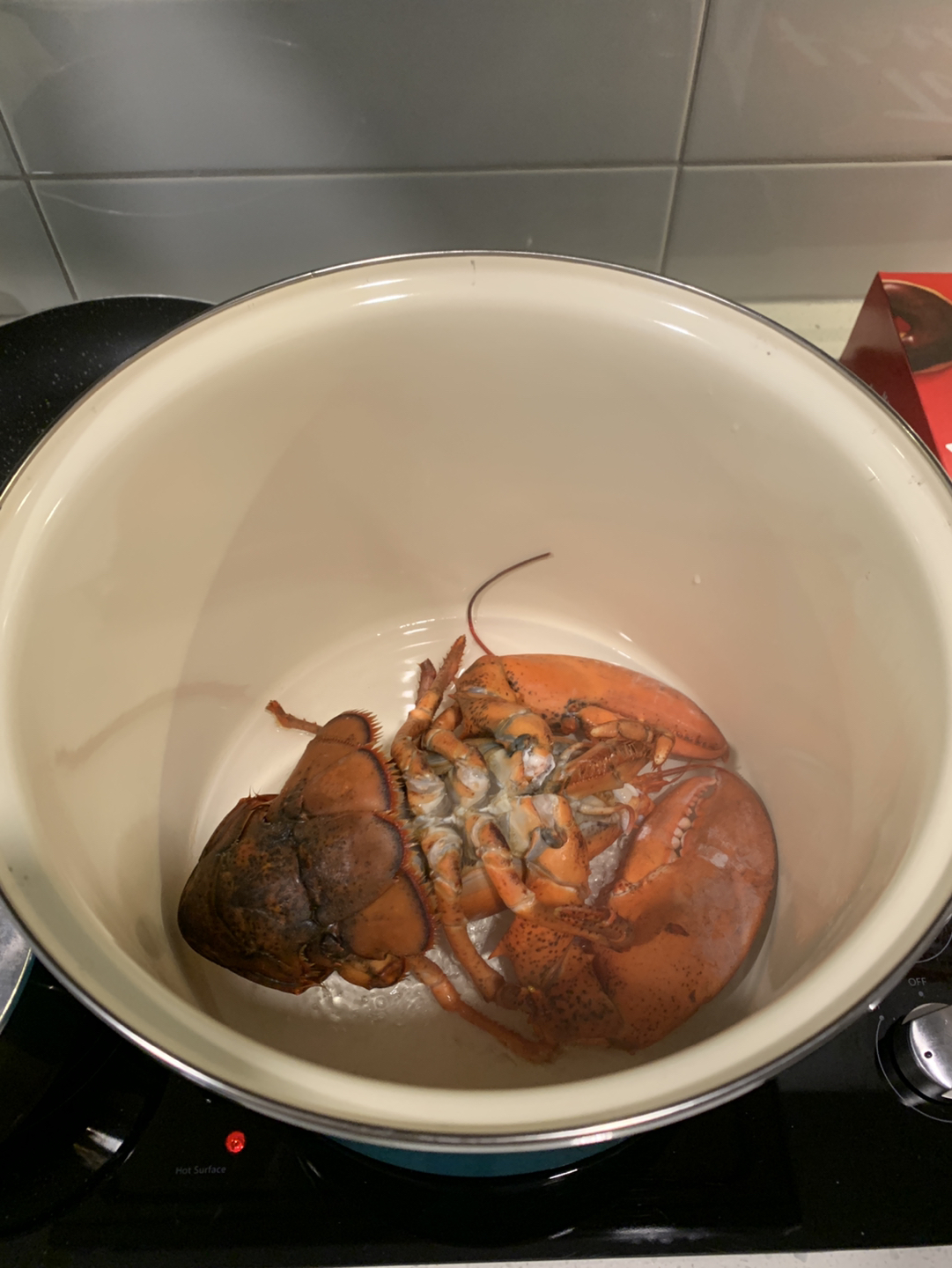 11.6QT Big Stock Pot with lid - photo 2