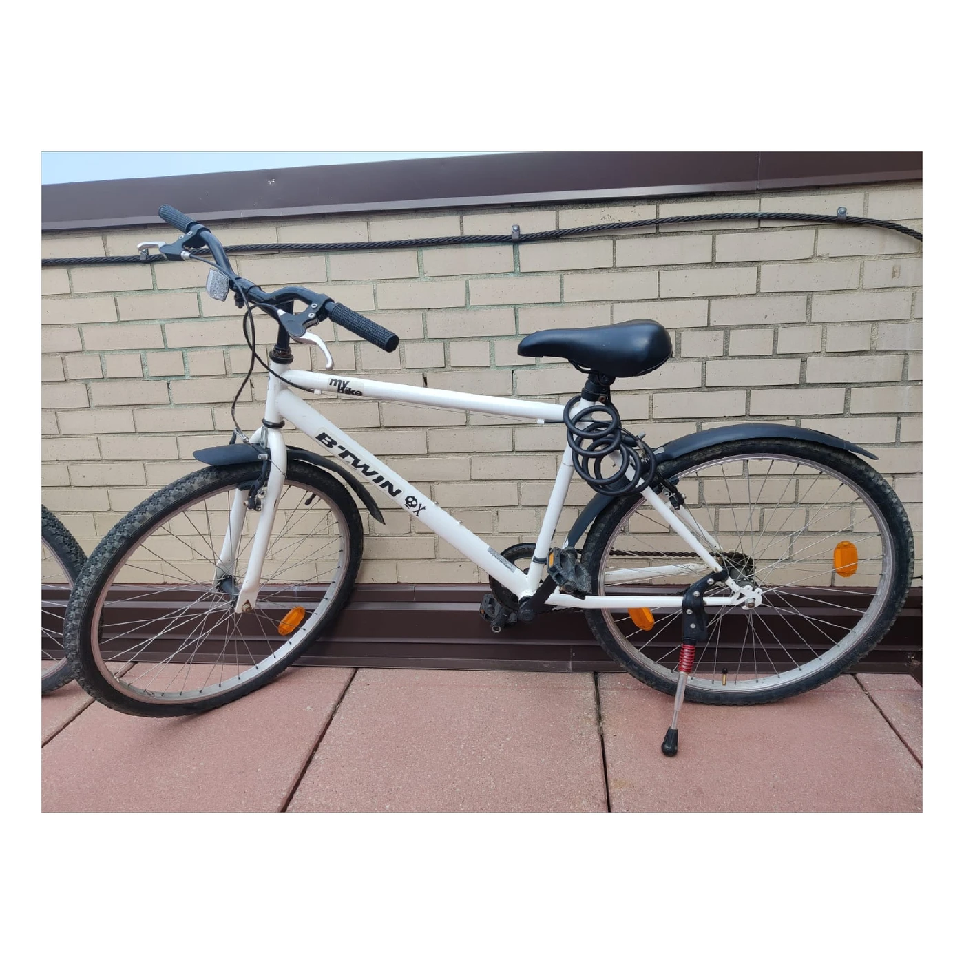 Bike - Single Speed - Medium size