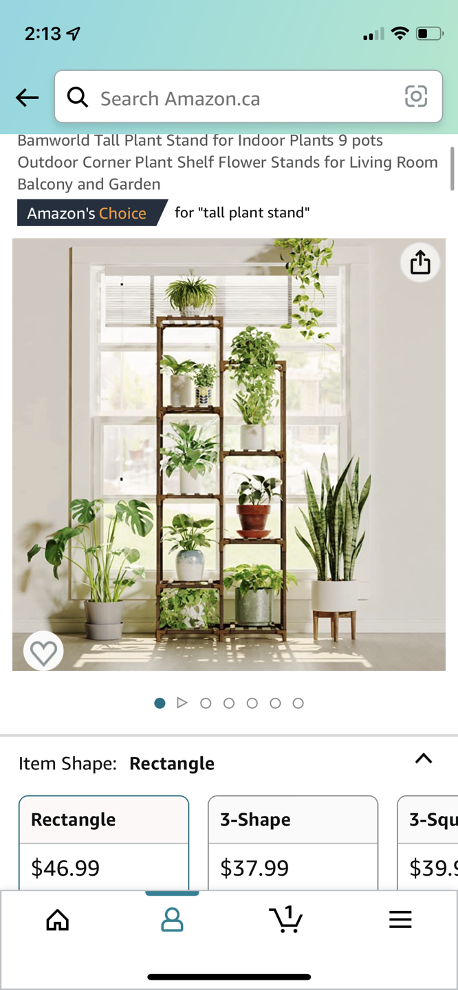 Plant Stand