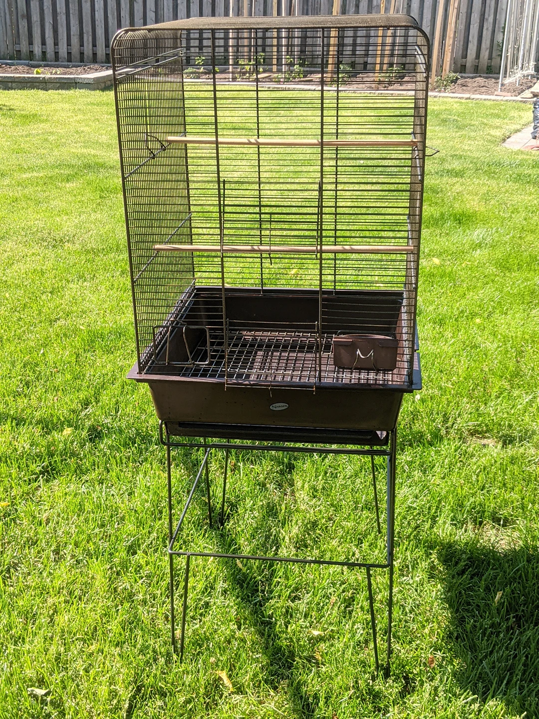 Bird Cage
