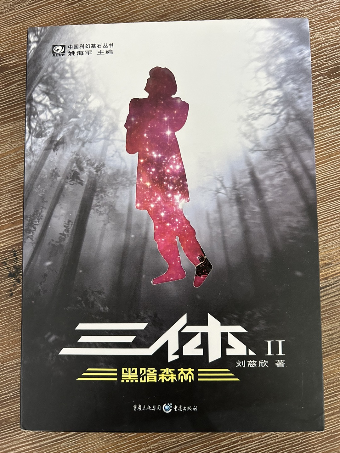 Chinese books Three Body 中文书 三体 - photo 3