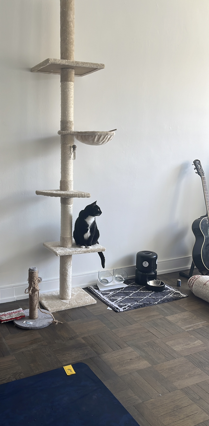 Cat Tree