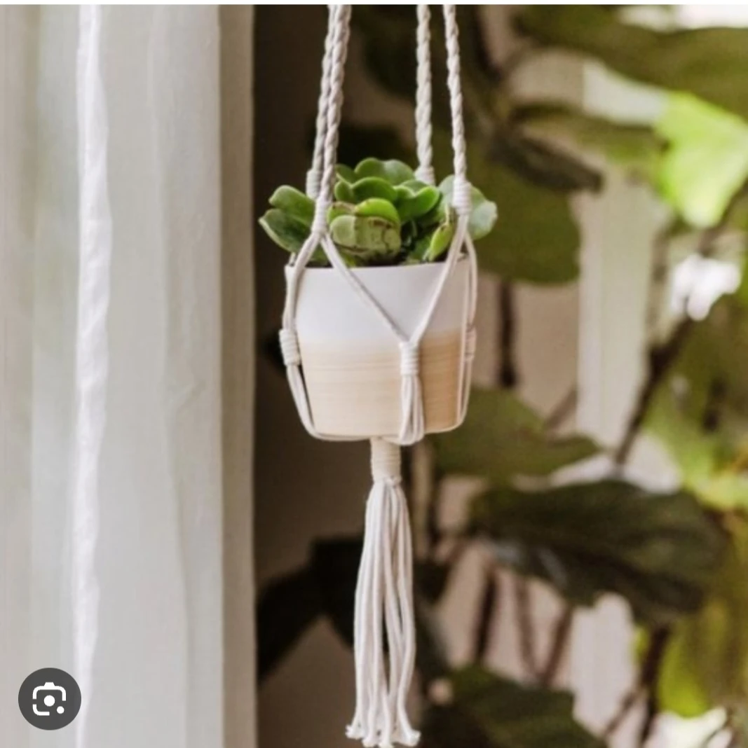 Plant hanger