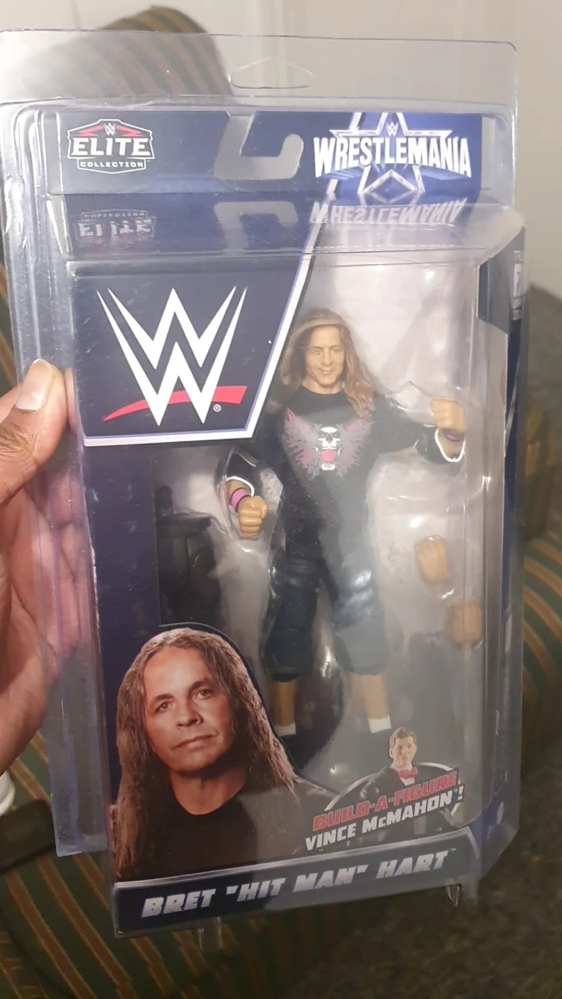 Bret Hitman Hart Figure Lot - photo 3