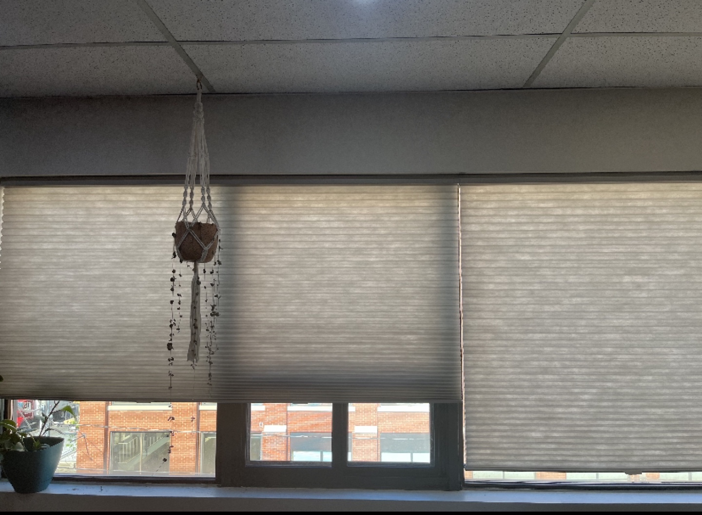 Hunter Douglas Blinds $100/ea thumbnail