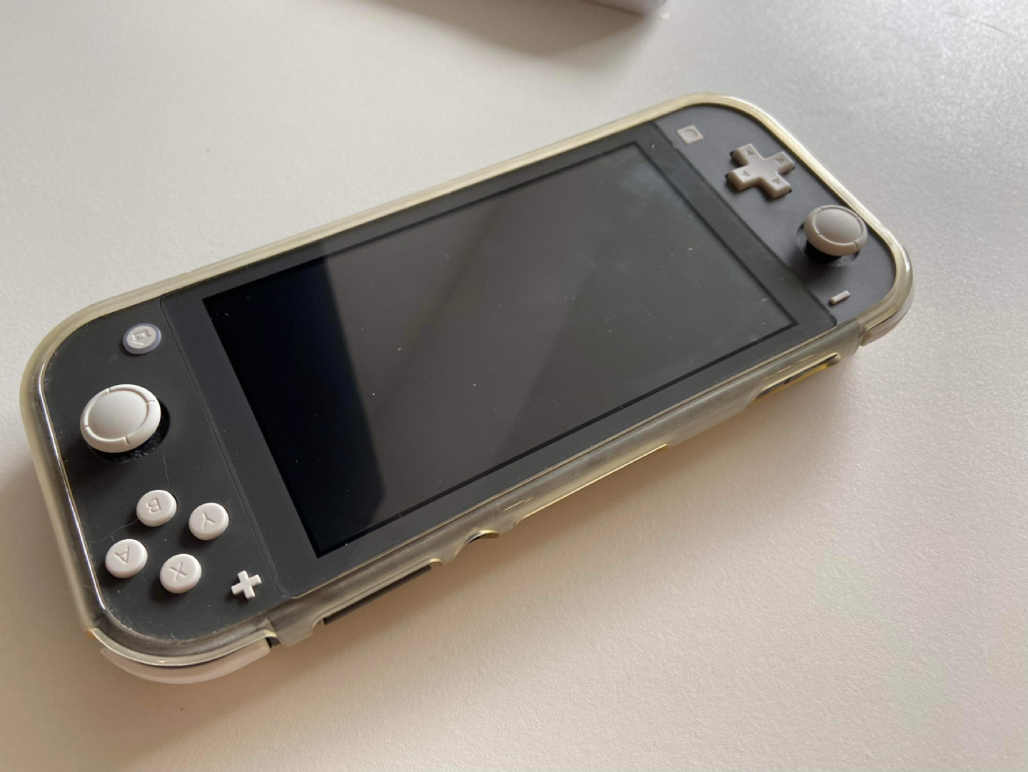 Nintendo Switch Lite image indicator(5)