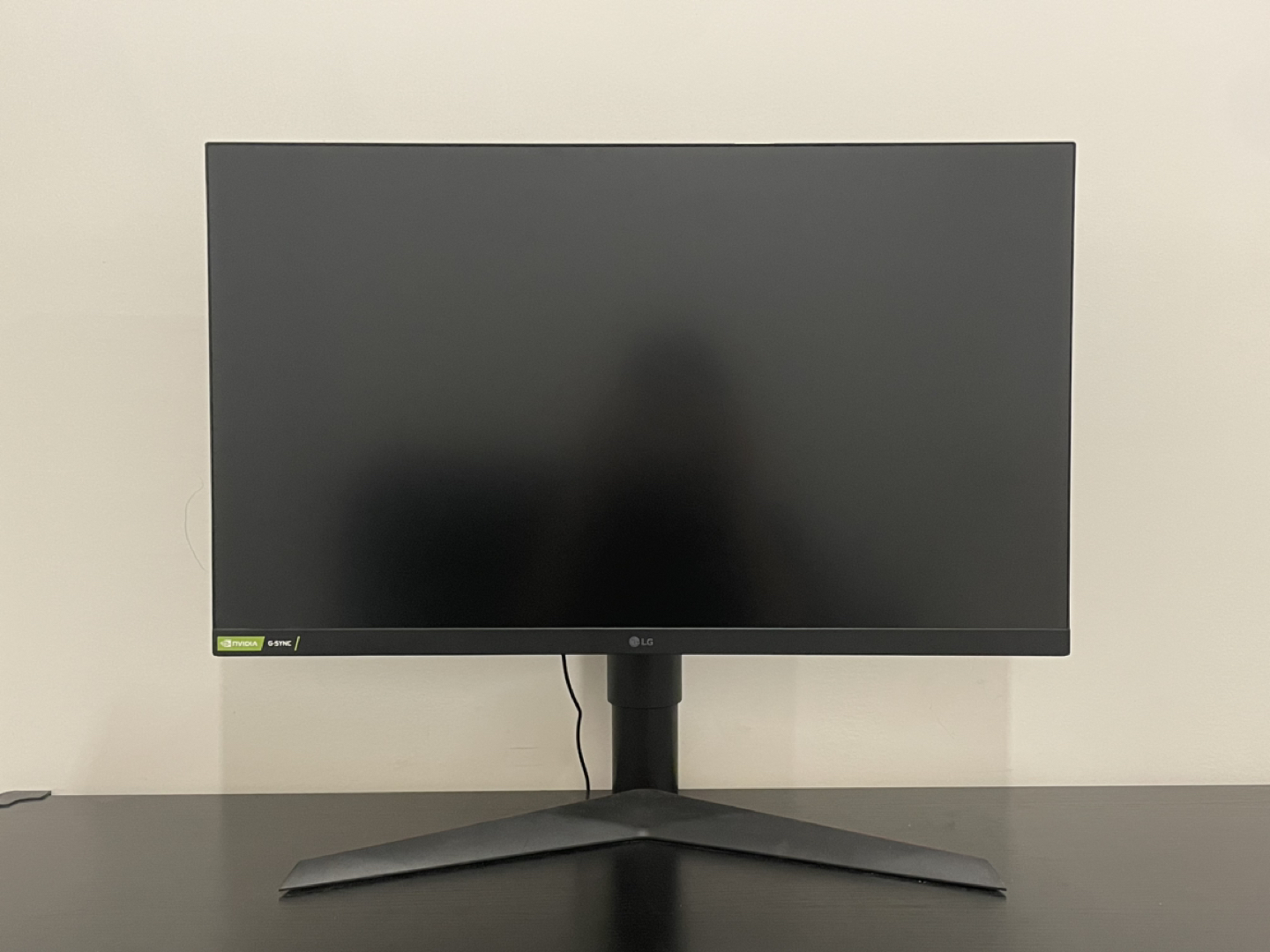 LG 27 Inch Monitor