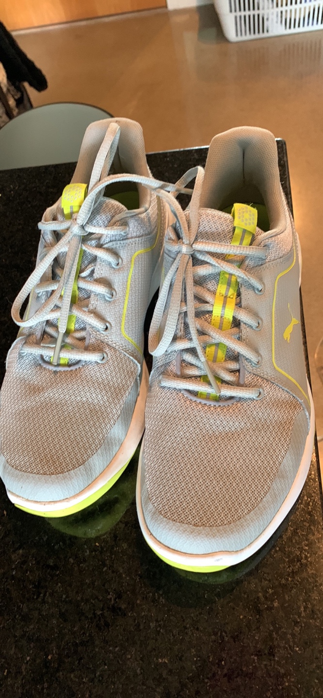 Puma runners