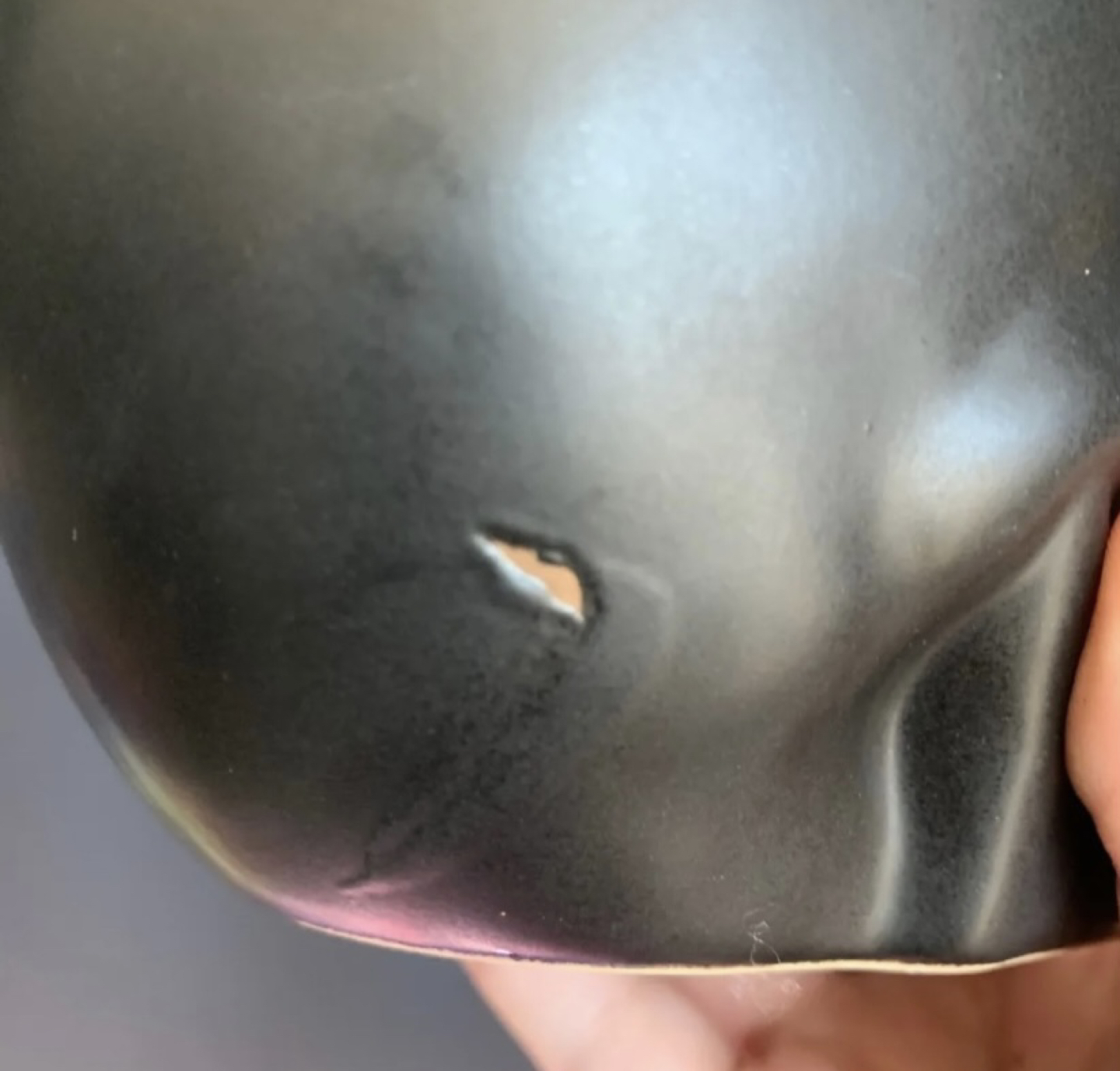 Faux Succulent in Skull 🌱 image indicator(2)