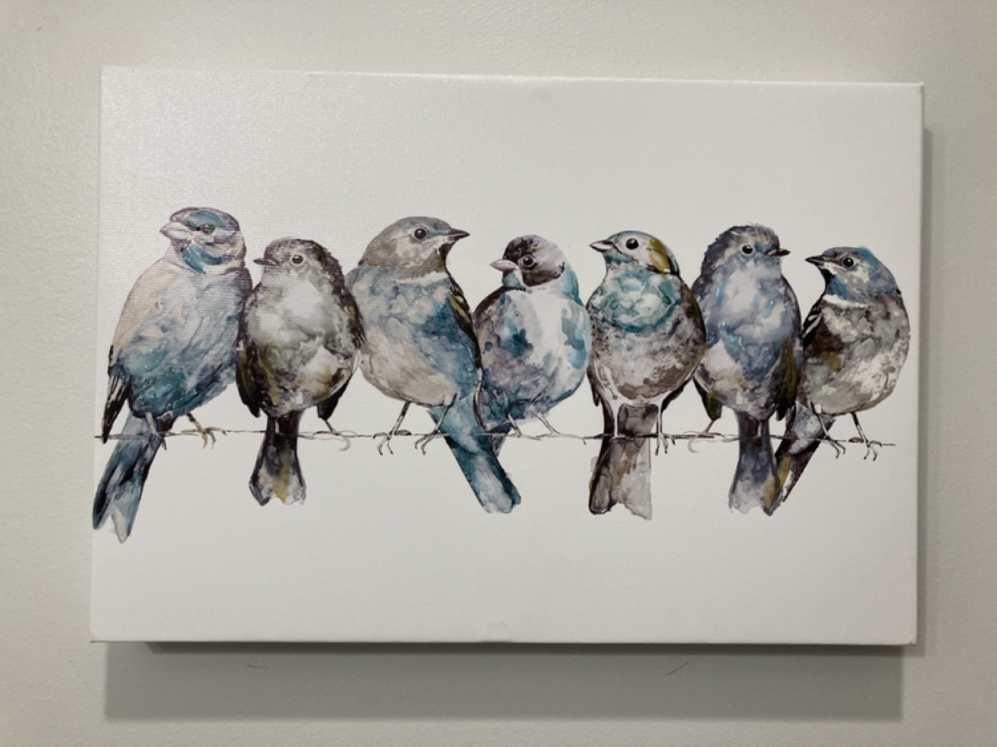 Brand new stunning Bird Print for wall
