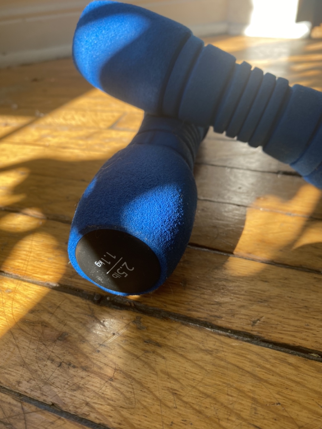 2.5 pound hand weights image indicator(2)