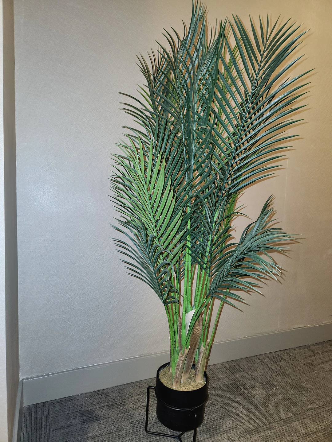Artificial Plastic Palm Tree thumbnail