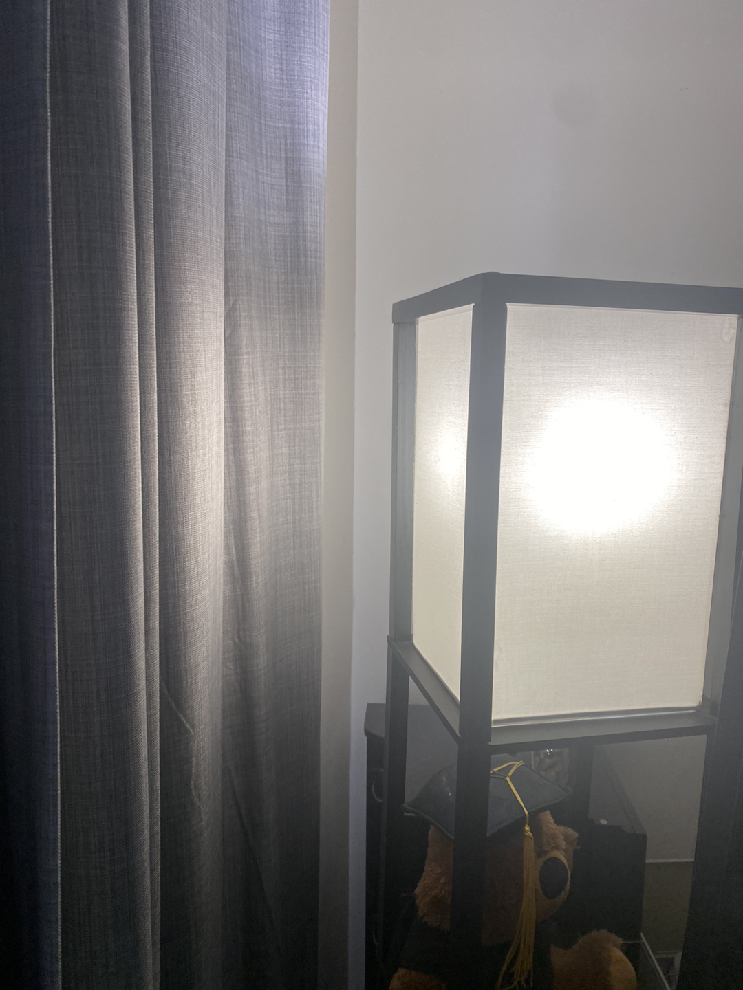 🌱Standing Lamps/ Floor Lamps🌱 - photo 2