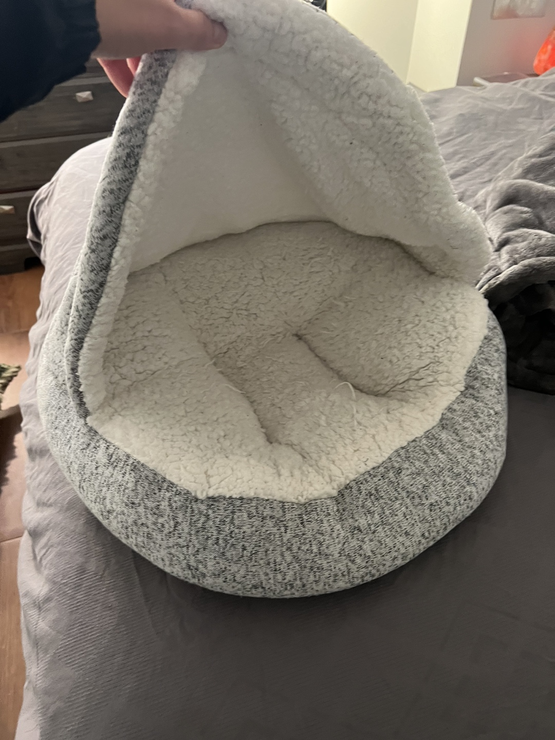 Dog bed thumbnail