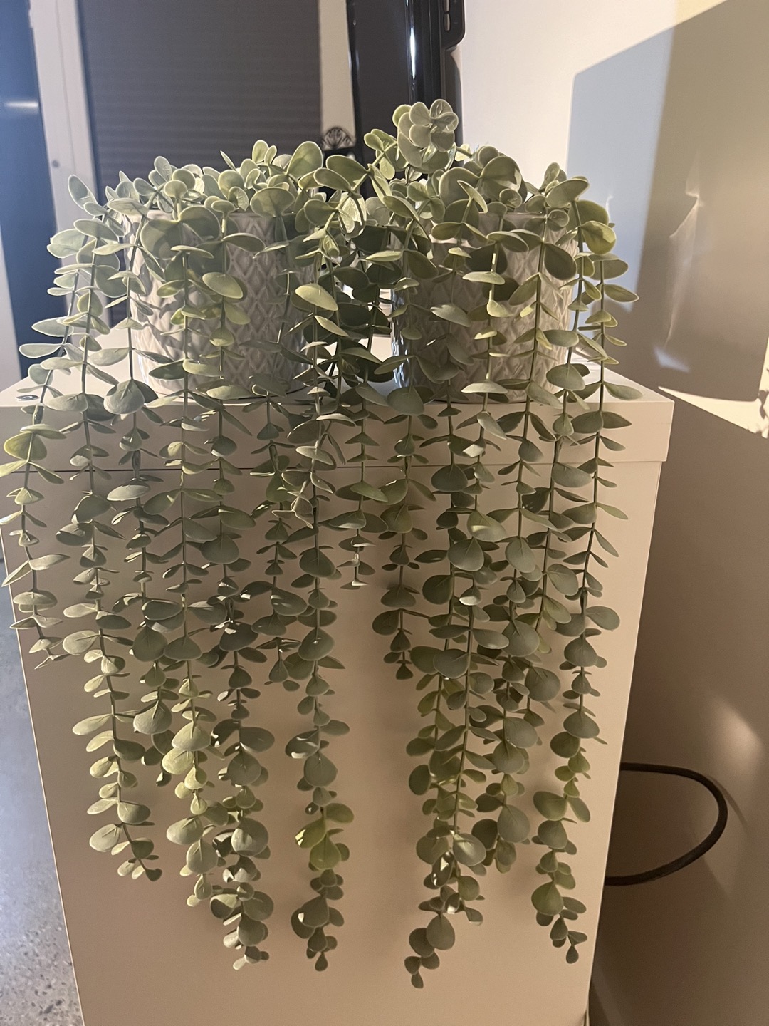 Decorative plants image indicator(2)