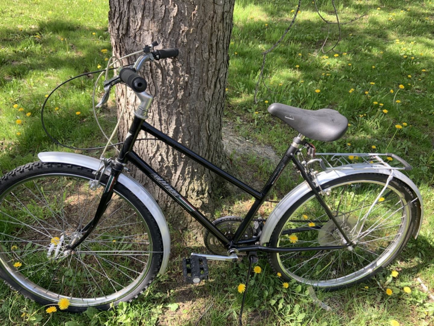 pathfinder adults ladies mountain bike 26 inches wheels image indicator(3)