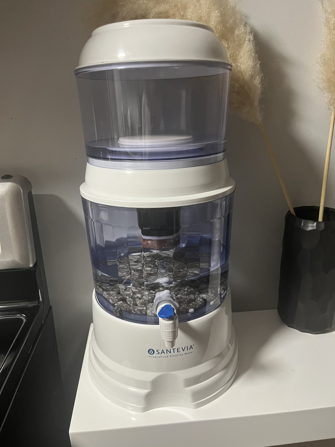 Santevia water system