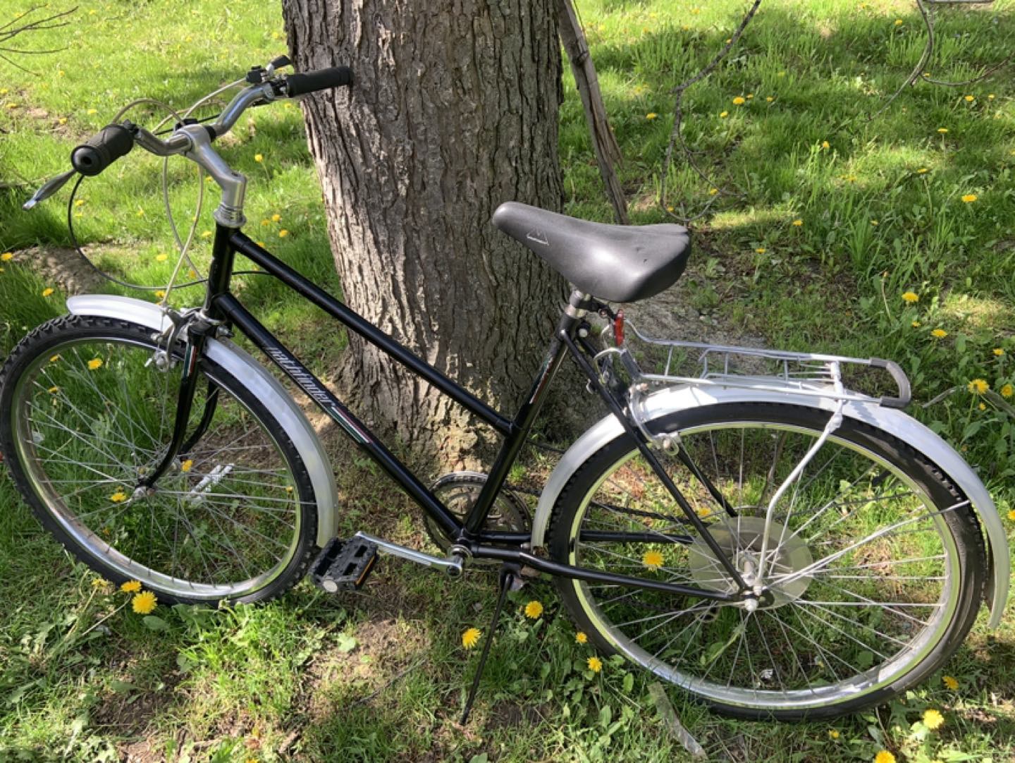 pathfinder adults ladies mountain bike 26 inches wheels image indicator(9)