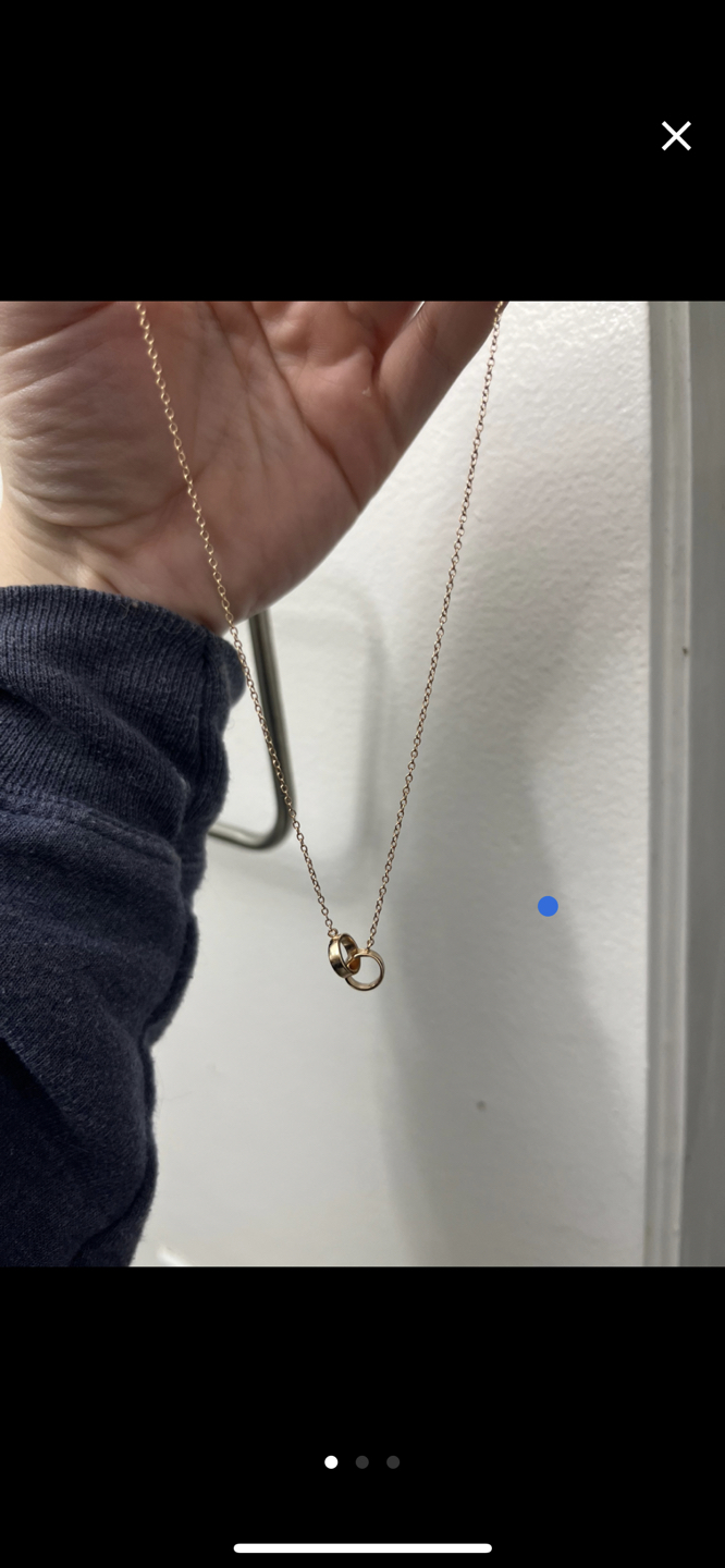 Double Hoop Necklace #freecycle thumbnail