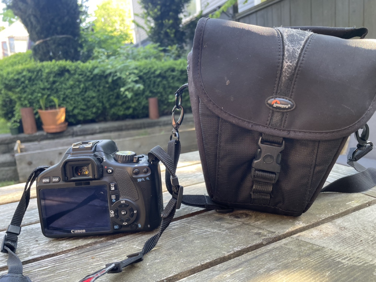 Canon EOS Rebel T2i with bag image indicator(2)