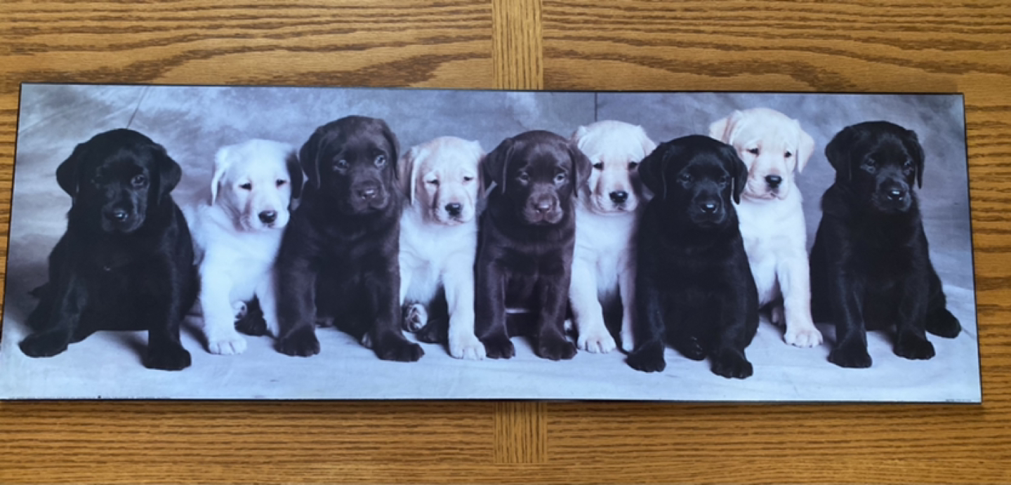 Picture wall $5 - photo 2