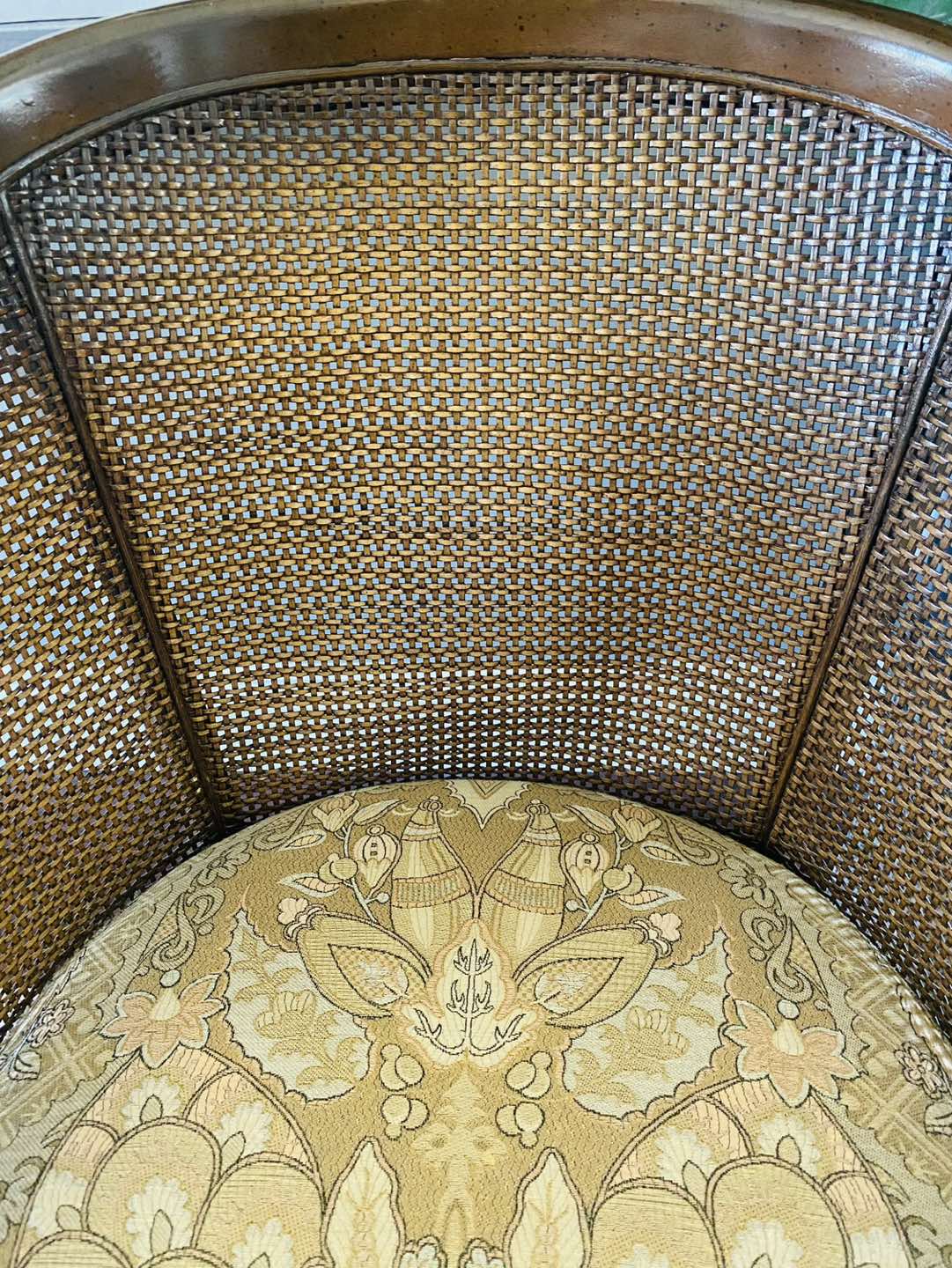 Vintage French Louis XV Style Cane Bergere Lounge Chair - photo 4