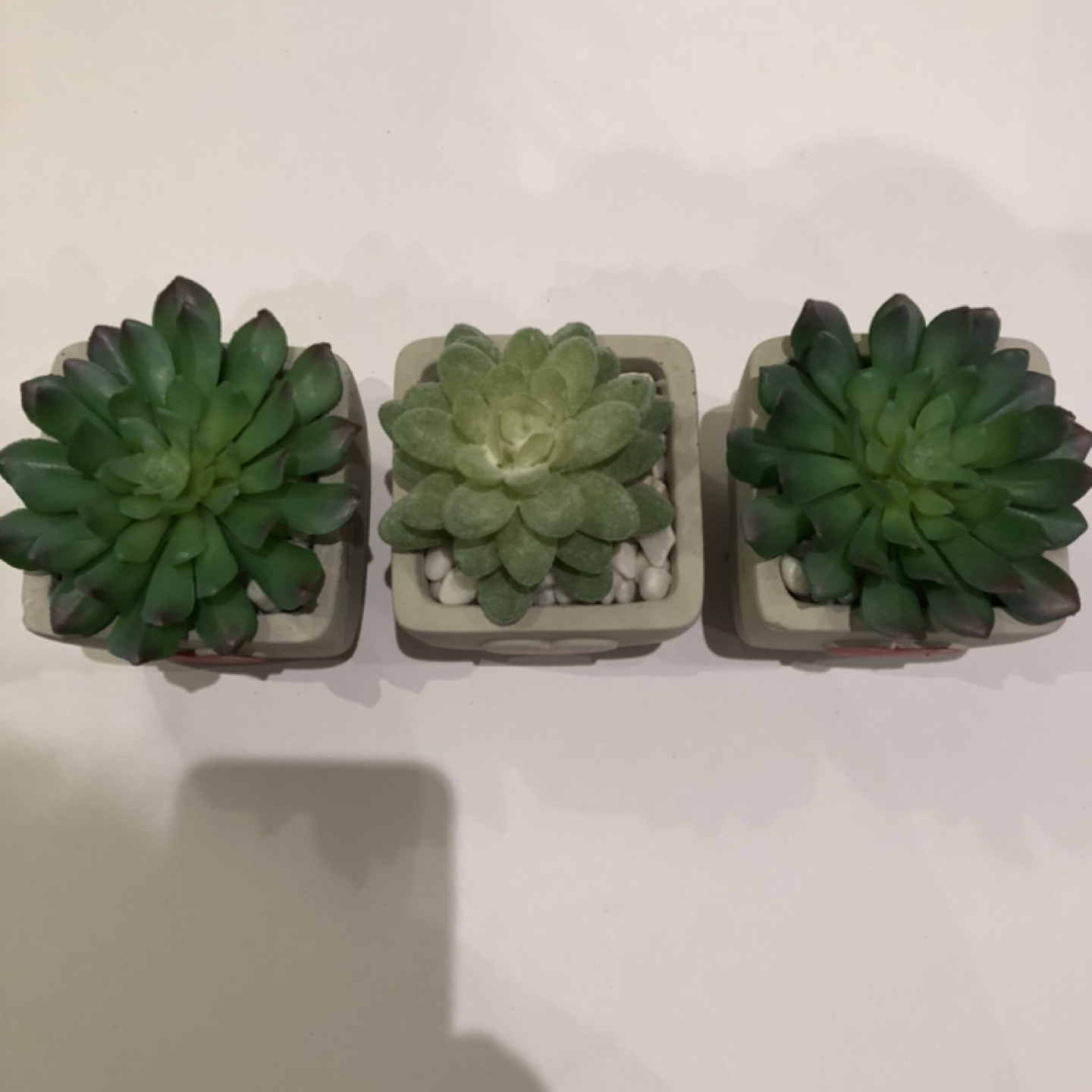 Succulent Decor 3pcs. | SOLD AS SET - photo 2