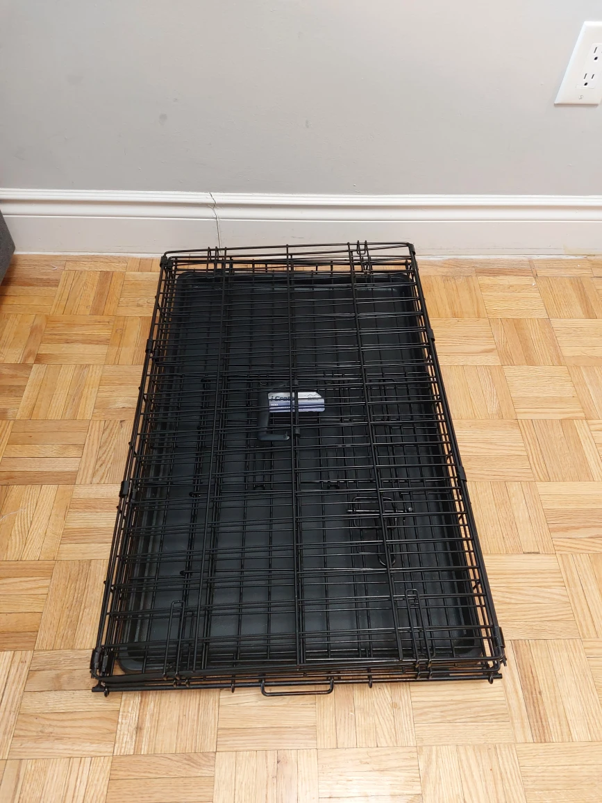 Medium Dog Crate  Folding Metal with Divider Panel - photo 3