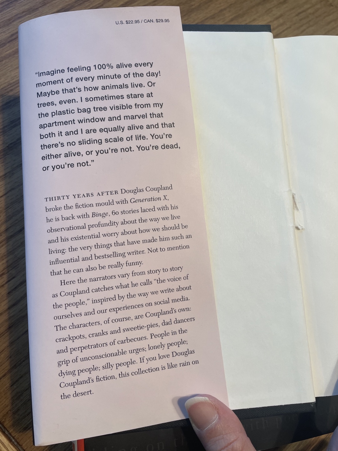 Book 📕- Binge, Douglas Coupland - photo 3