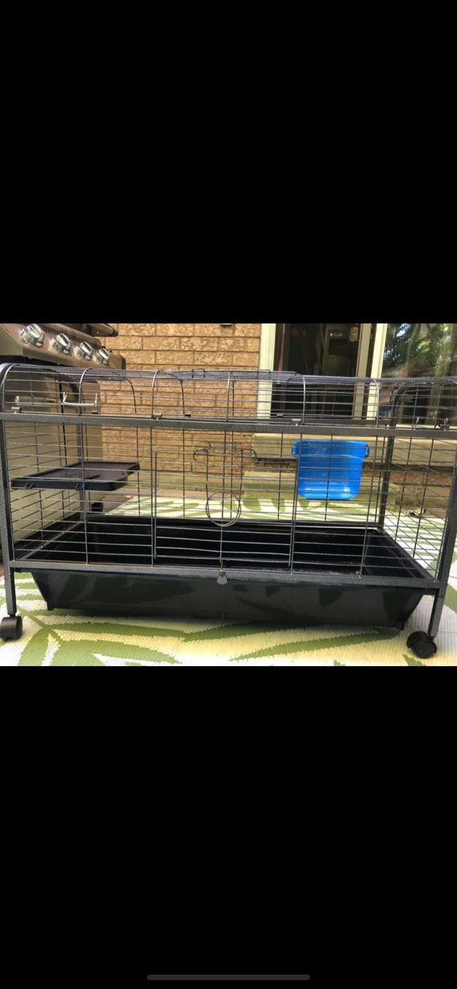 Small animal cage