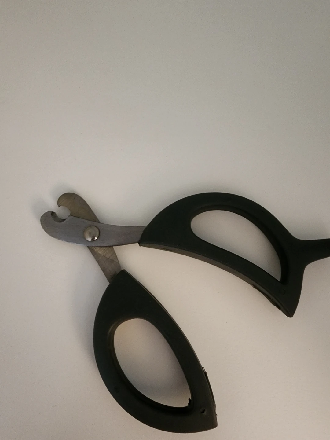 Cat scissors