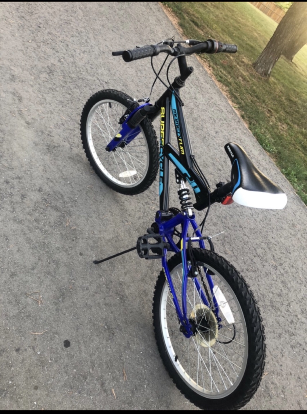 Bike for 10-11 yo kids