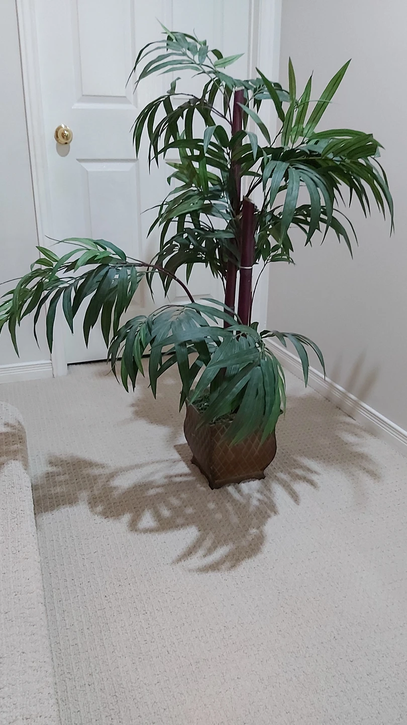 Faux Bamboo Plant