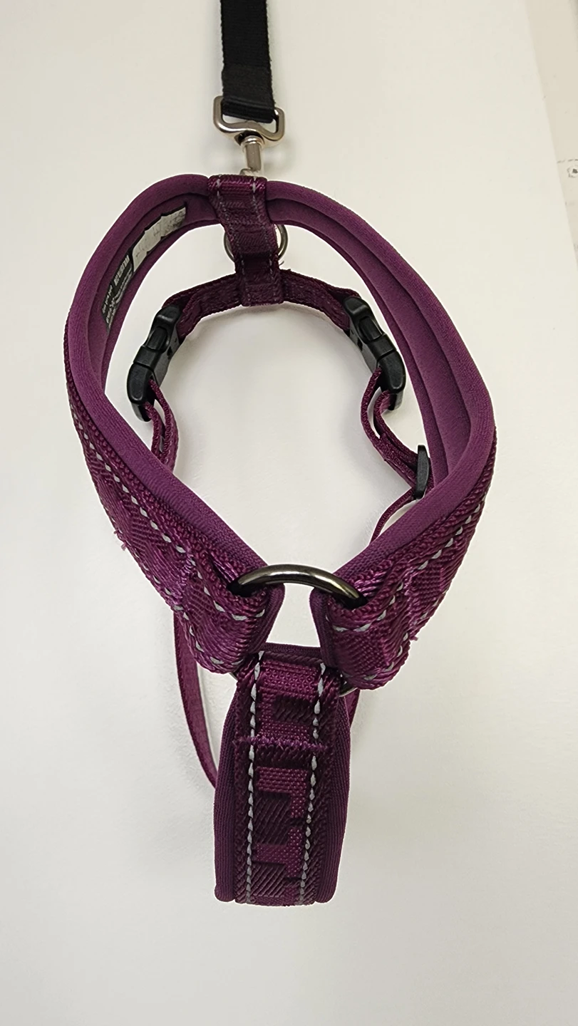 Hurtta Casual Padded Dog Y-Harness image indicator(3)