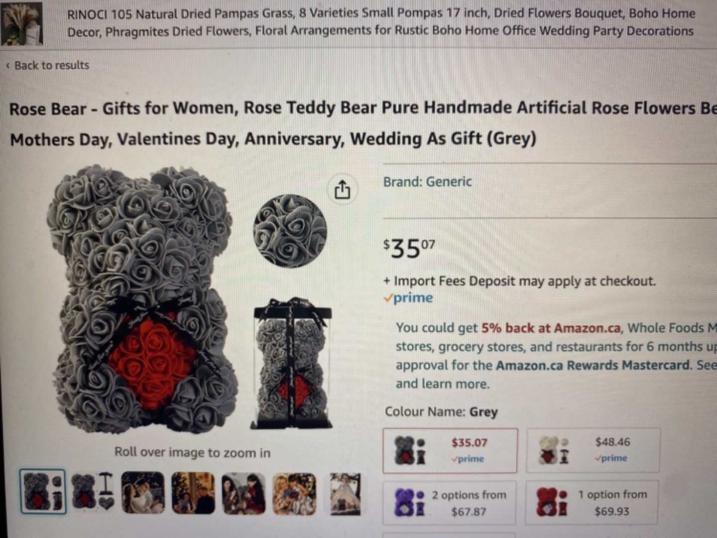 #freecycle Fake Rose Bear image indicator(2)