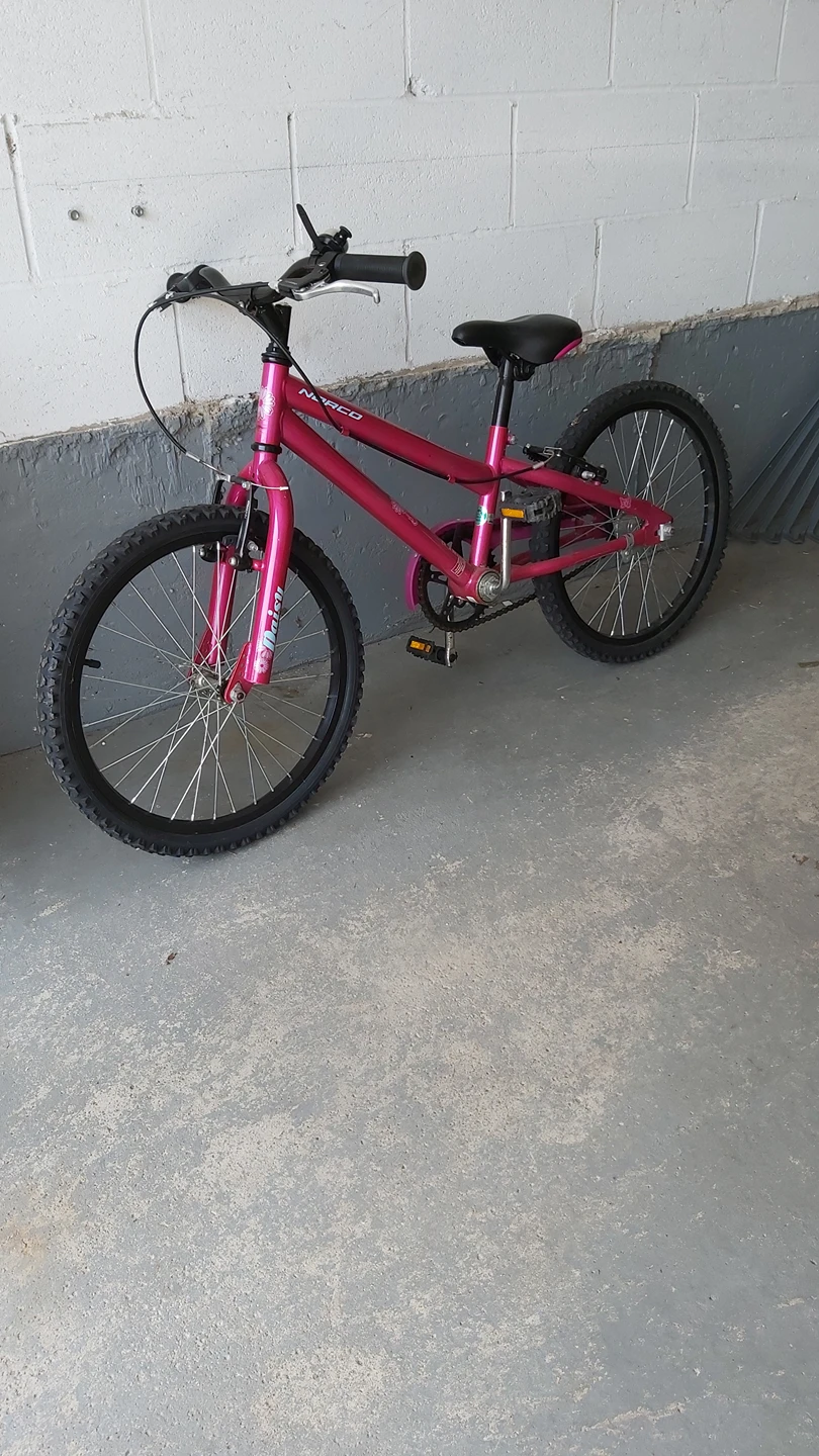 Girls' 20" Bicycle