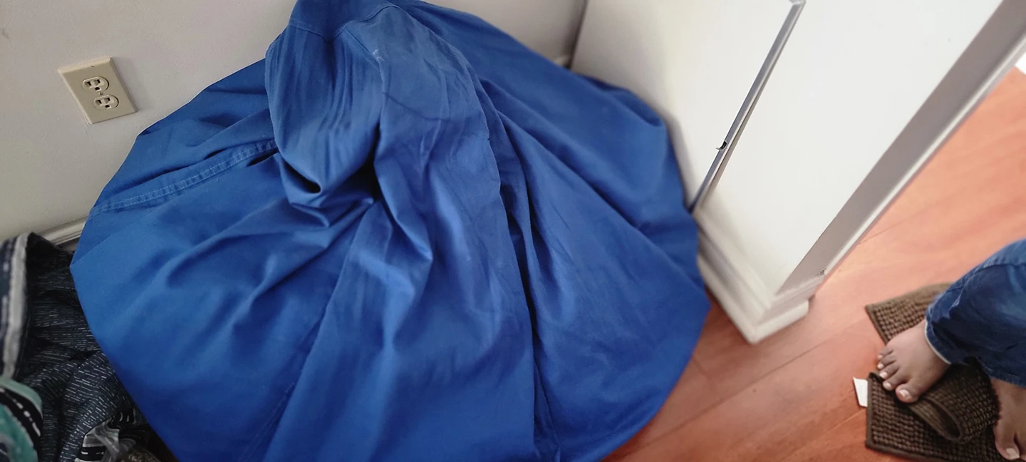 Bean Bag