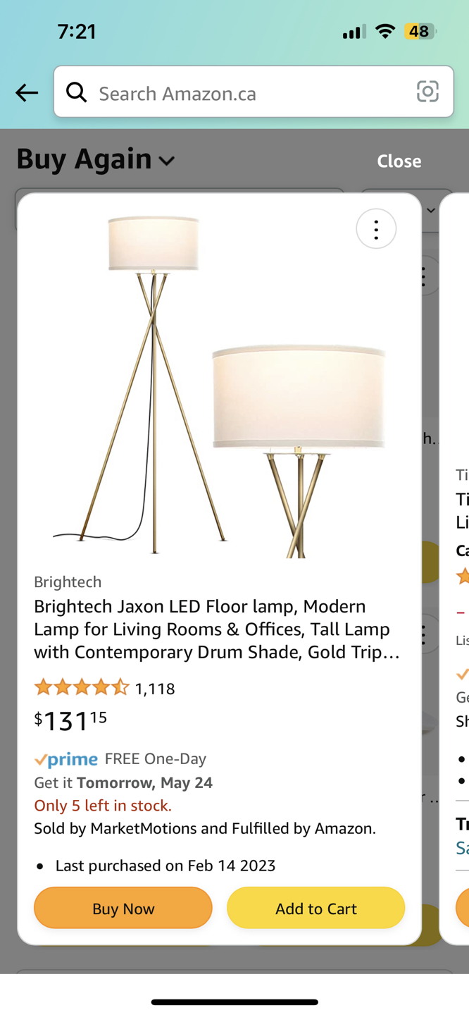 Floor lamp - photo 3