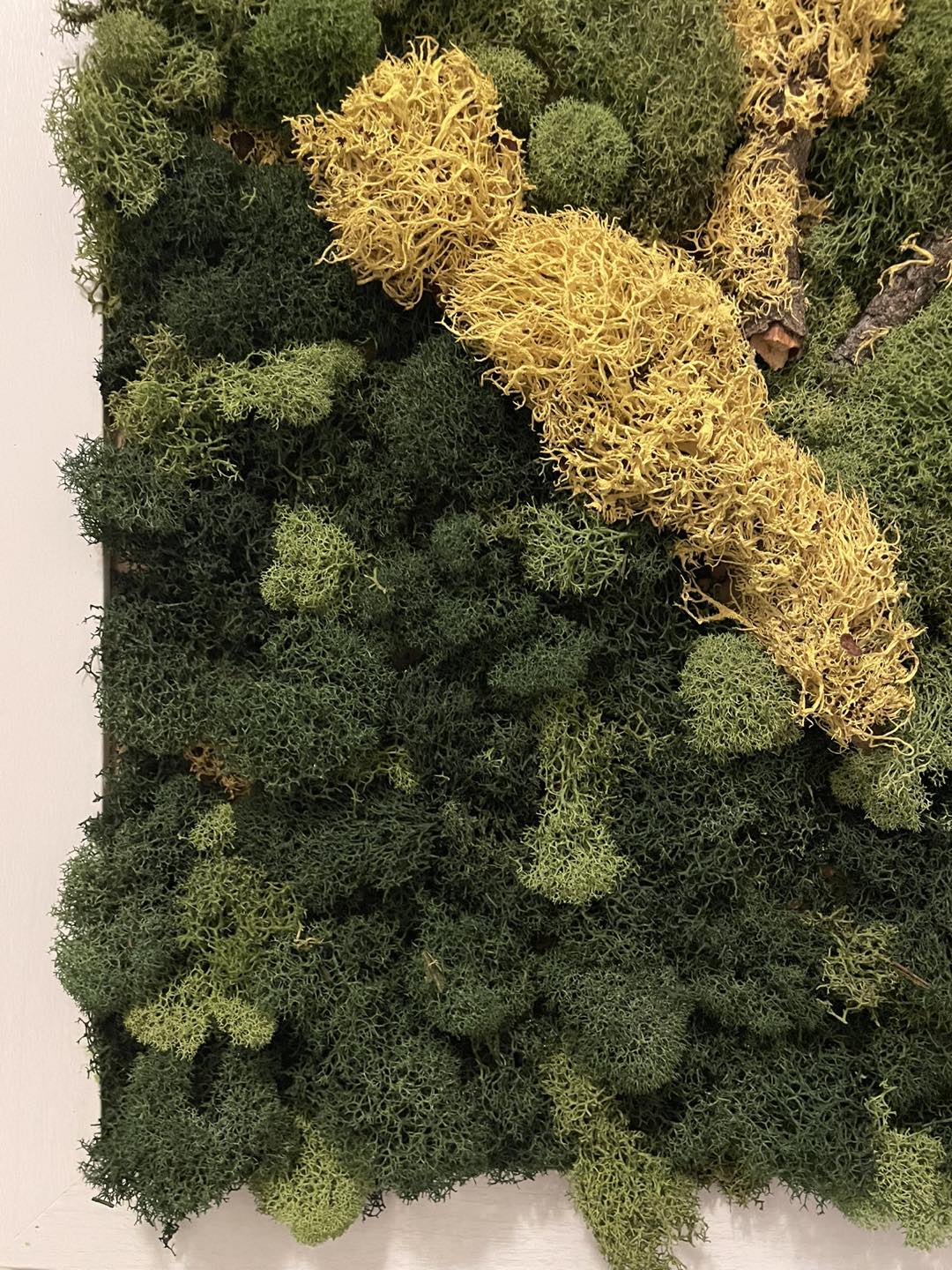 Moss art - photo 2