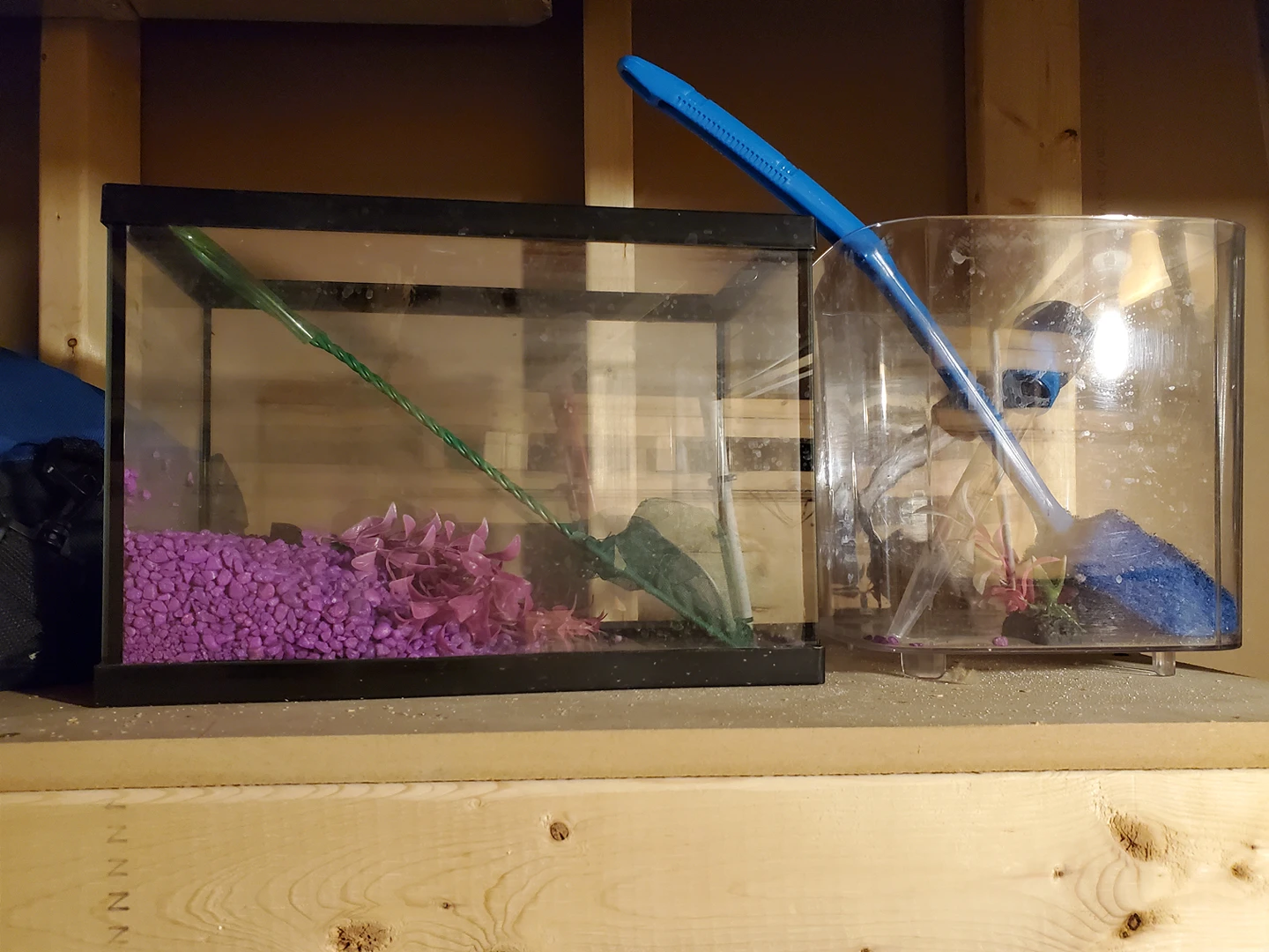 fish tank