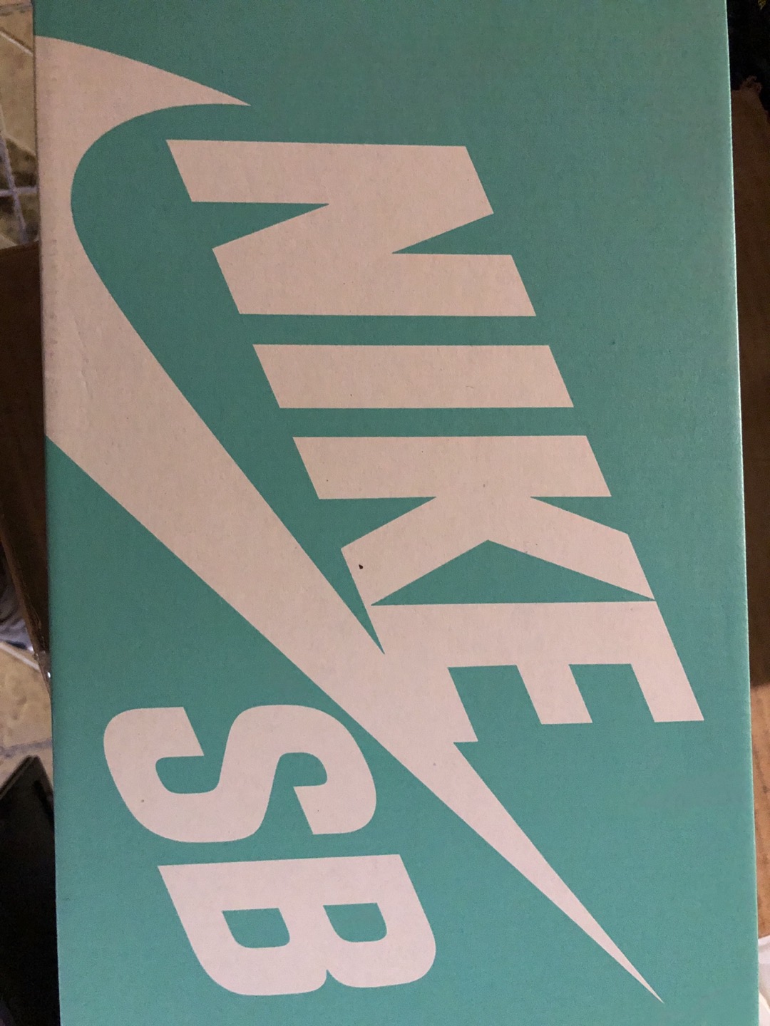 Brand new pair of Nike sb