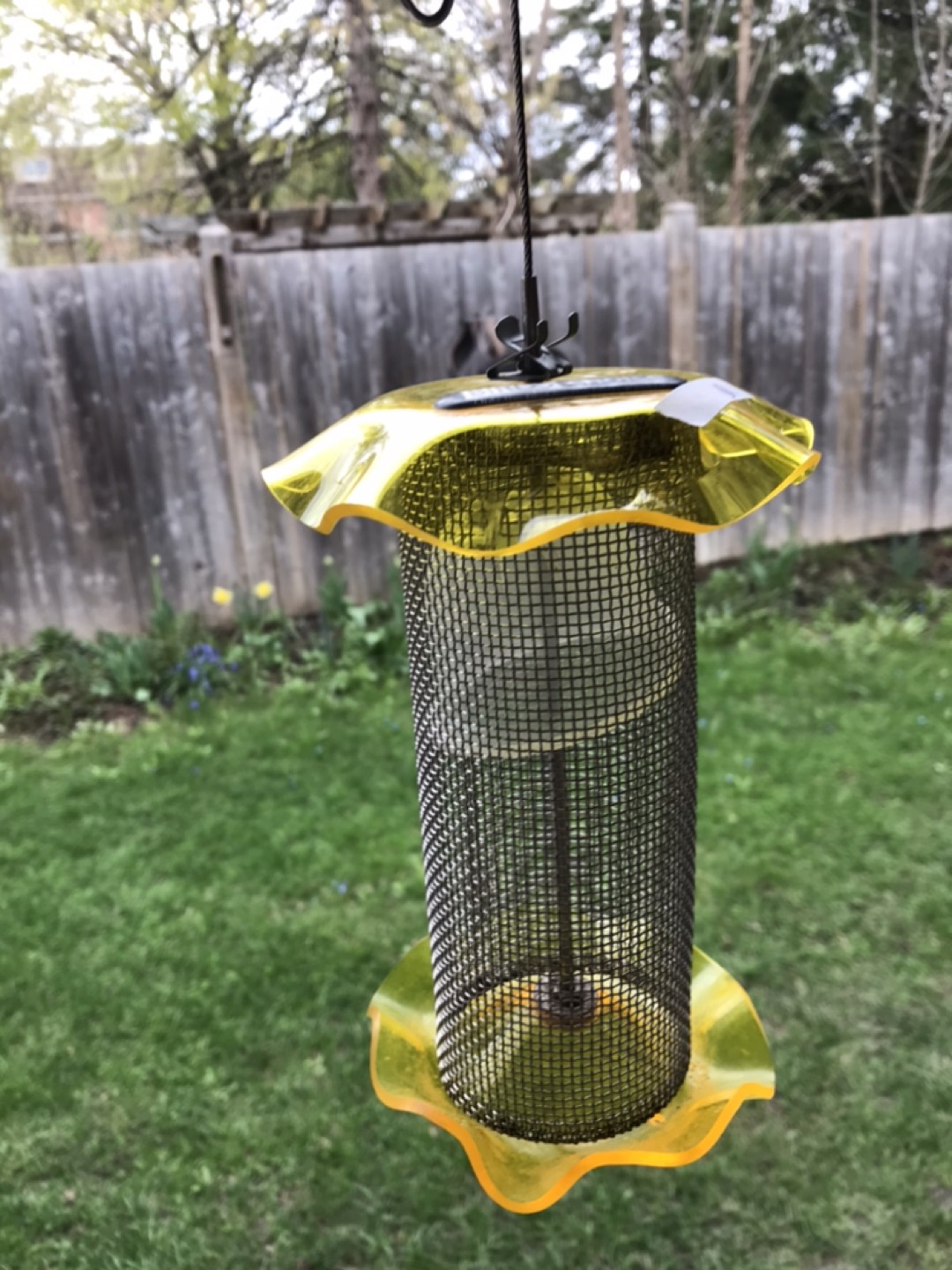 Goldfinch bird feeder